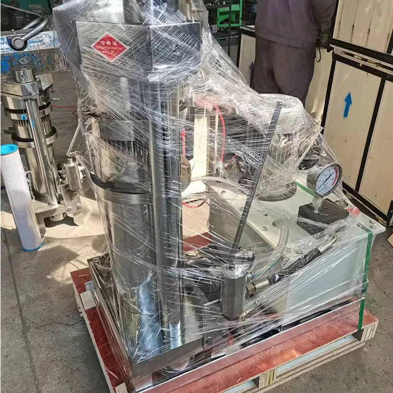 Small commercial oil press industrial cold pressed black seed oil moringa seed oil machine