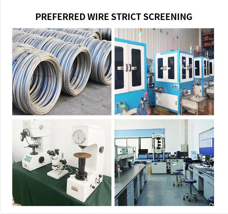 High Quality ANSIB18.5 Round Head Square Neck Bolts Stainless Steel304 Carriage Bolts