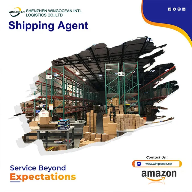 Cheapest logistics agent shipping FBA Door to Door logistics service LCL shipping agent from china to Czech Republic