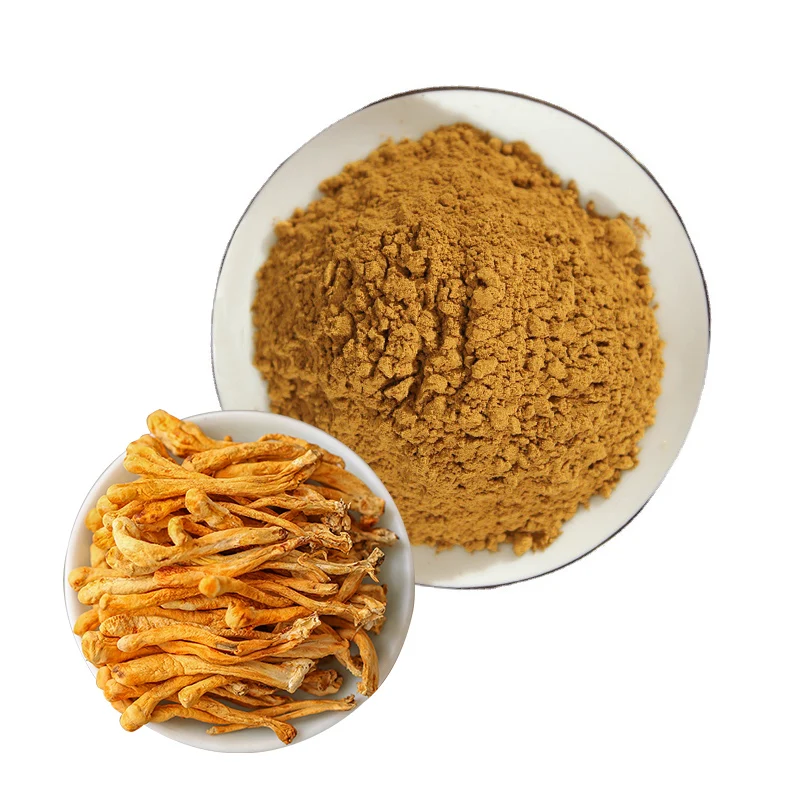 Wholesale Price Organic Cordyceps Militaris Mushroom Fruit Body Extract Powder Cordyceps Militaris Extract