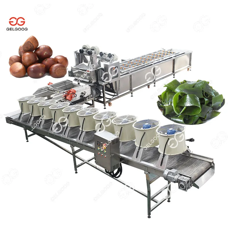  Gelgoog 500Kg/H Vegetable Washer Citrus Orange Sea Buckthorn Date Palm Spray Conveyor Milk fruit Washing