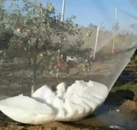 Stabilized anti hail bird net plastic protect netting frost hail round mesh net fruit net protection