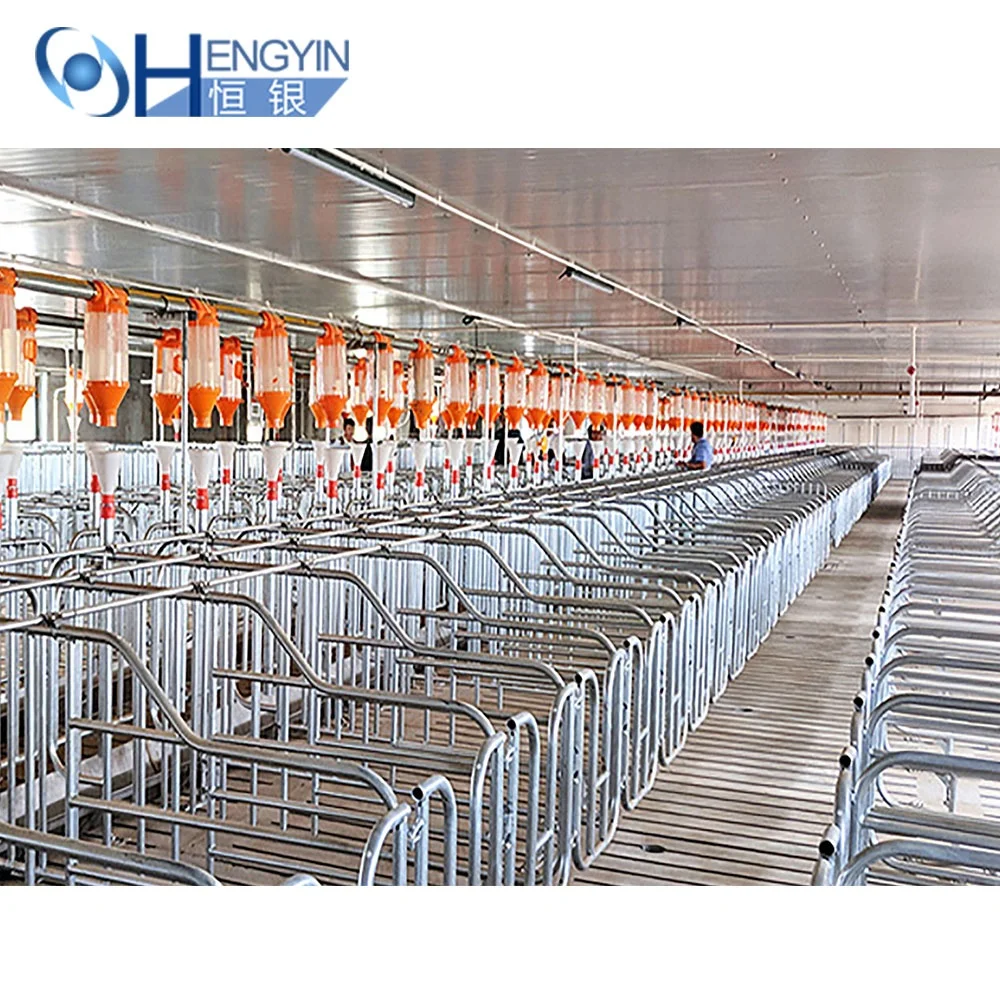 Can be customized high quality Sows pregnancy cage pig gestation crates Pens for pig farm equipment