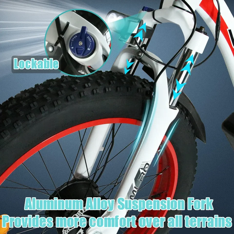 Bici Elettrica Bicycleold Iciclett Elettr Bicicleta Velo Electrique Fat Tire Mountain Ebike City Bicycle Hybrid Electric Bike