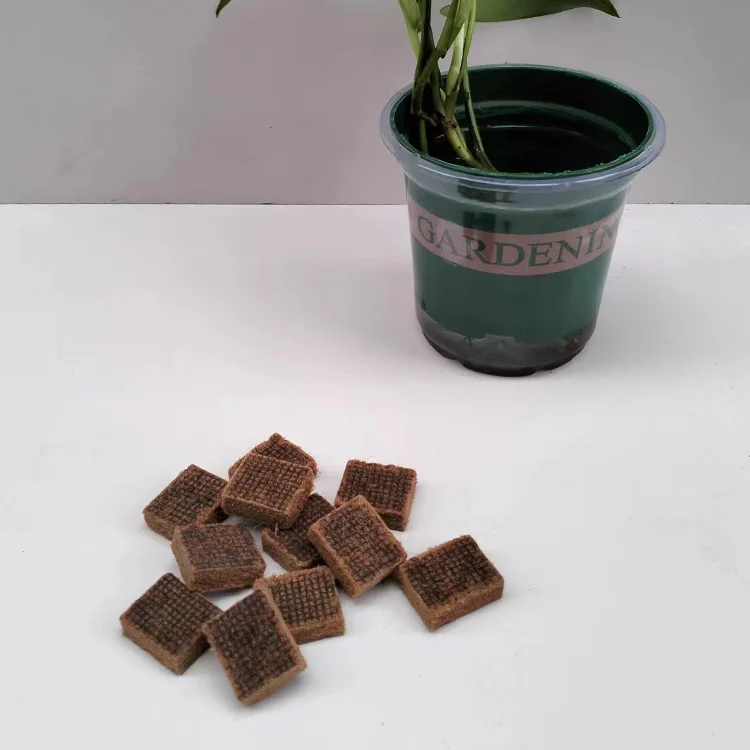 Fire Charcoal Starter