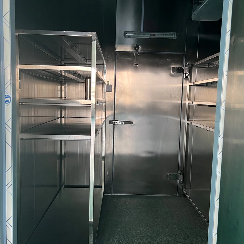 Stainless steel walk-in seafood storage food freezer refrigerator for fish