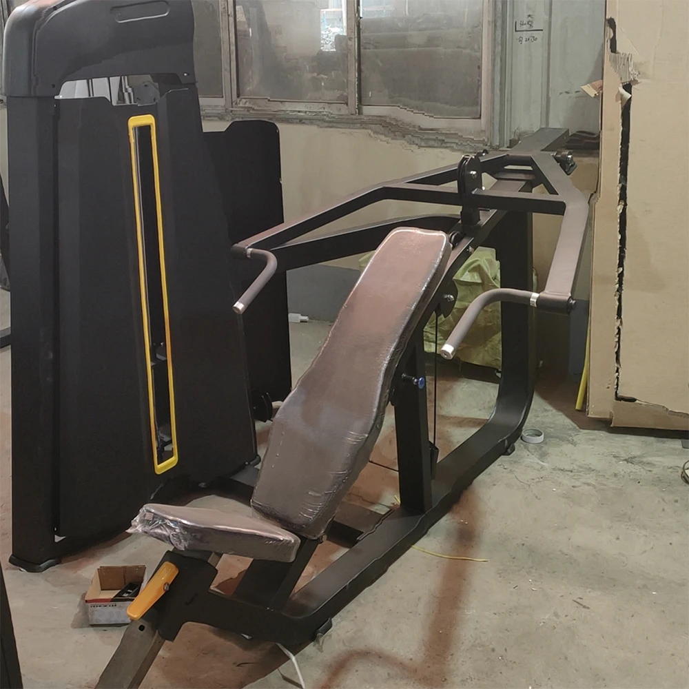 Pin Loaded Back Extension Shoulder Lifter Iso-Lateral Rear Deltoid Trainer Dual Reverse Fly/Rear Delt Training Equipment