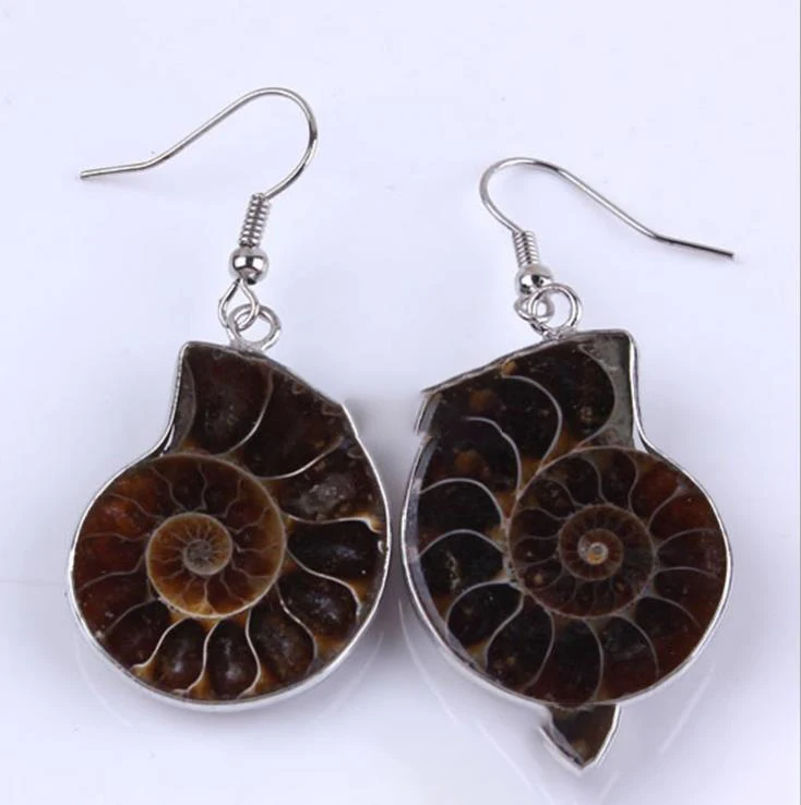Natural half ammonite fossil rock sea snail stone fossil for sale