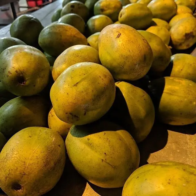 
Fresh Papaya Organic Green Papaya Best Quality & Fresh Fruit Papaya Famous Factory Supply Fruit Powder 