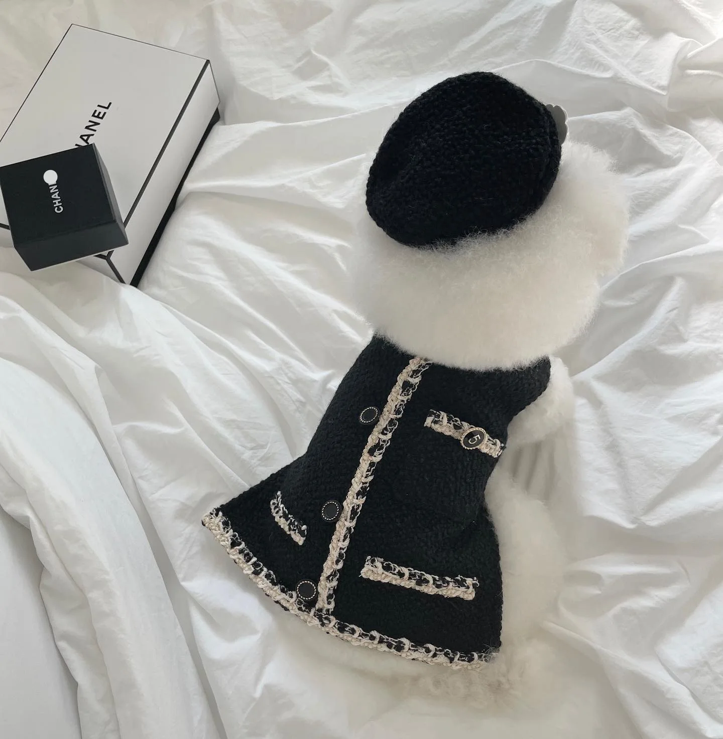 Luxury Designer Style French Bulldog Teddy Schnauzer Puppy Dog Dress Korean Pet Clothes Sexy Lady Dog Fancy Dress