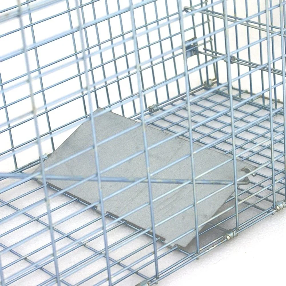 Catch and Release Humane Rodent Cage Medium Live Animal Trap Cage Squirrel Stray Cat Catcher