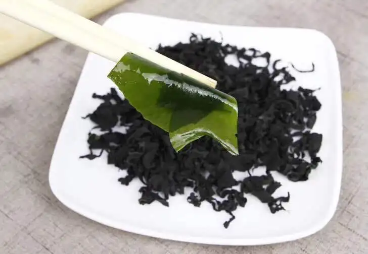 Wholesale extract Dark Green sushi Undaria Pinnatifida sargassum Organic seaweed Dried Fresh Seaweed