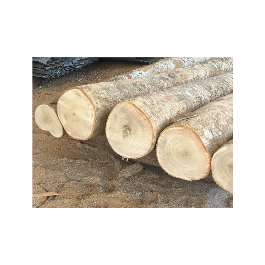 Natural Wood Birch Round Disc Wooden Solid Tree Slices With Bark For Crafts