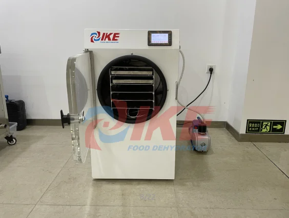 IKE Freeze dry fruit liofilization machine freeze dryer dry machine