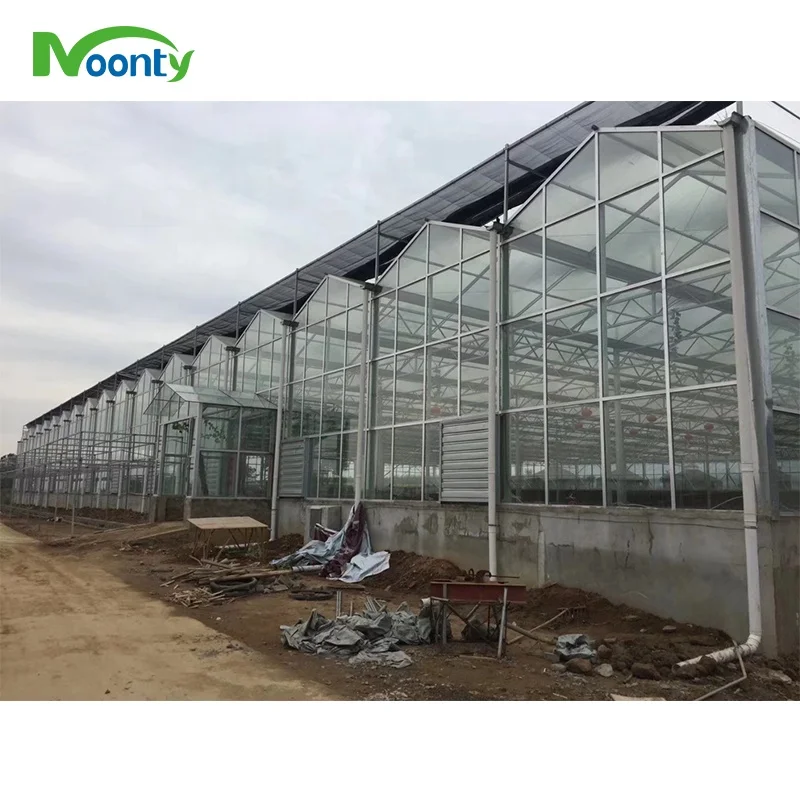 Complete Glass Agricultural Commercial Greenhouse Turnkey Project with Quick Construction