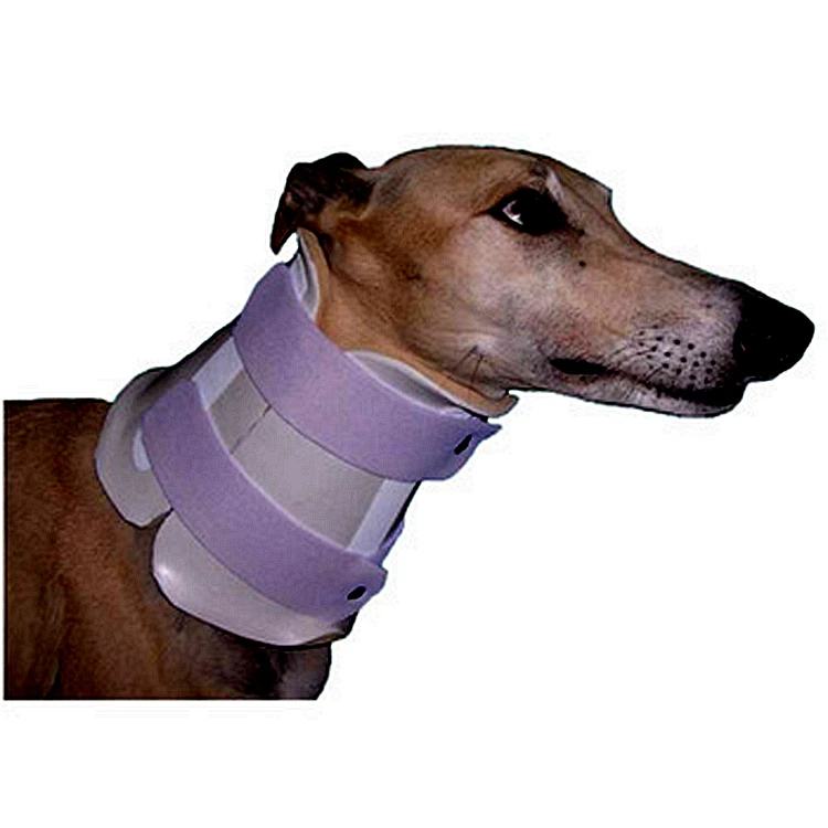 cervical protection dog