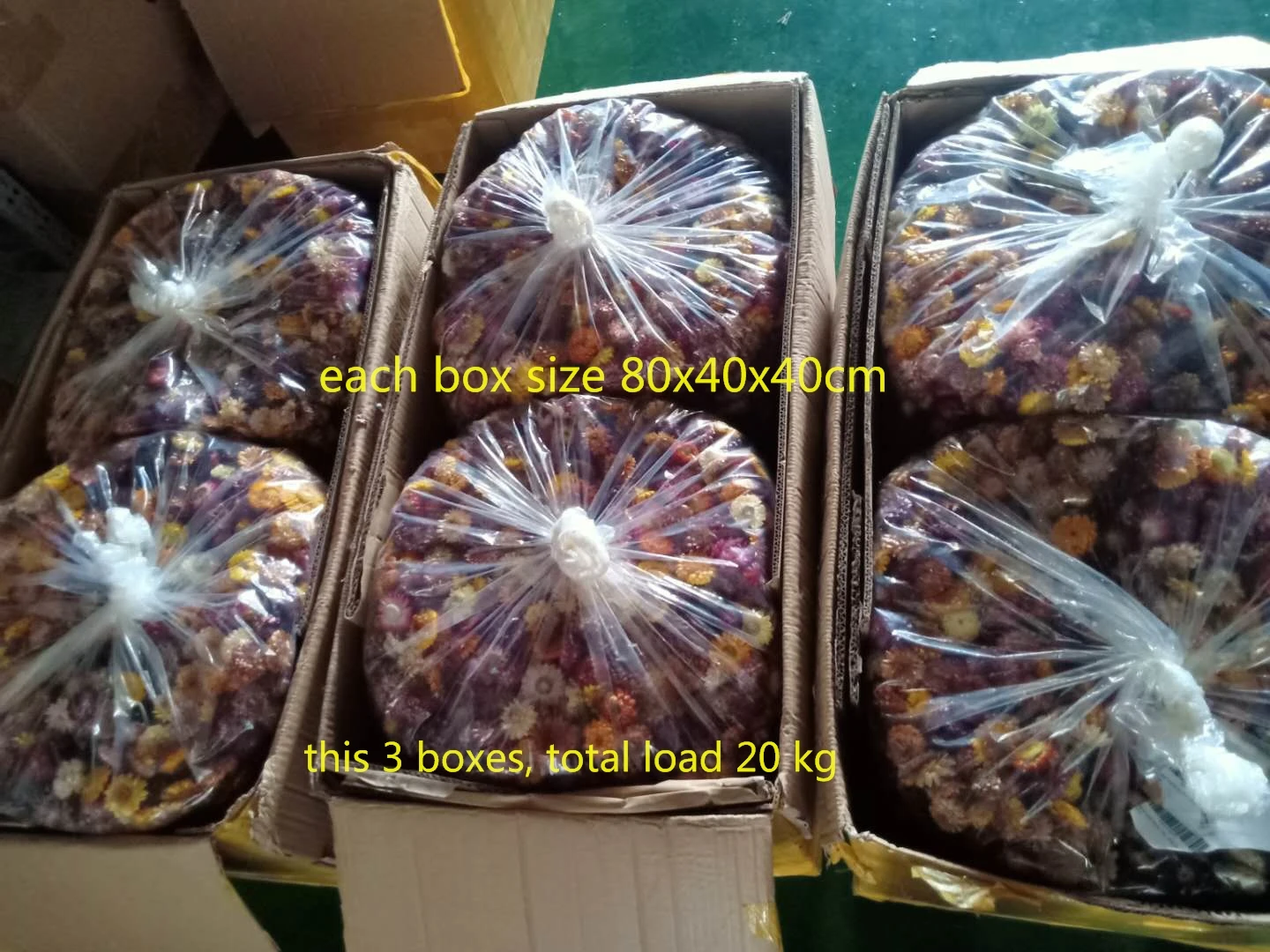 Dried Straw flowers herb flower bloom head