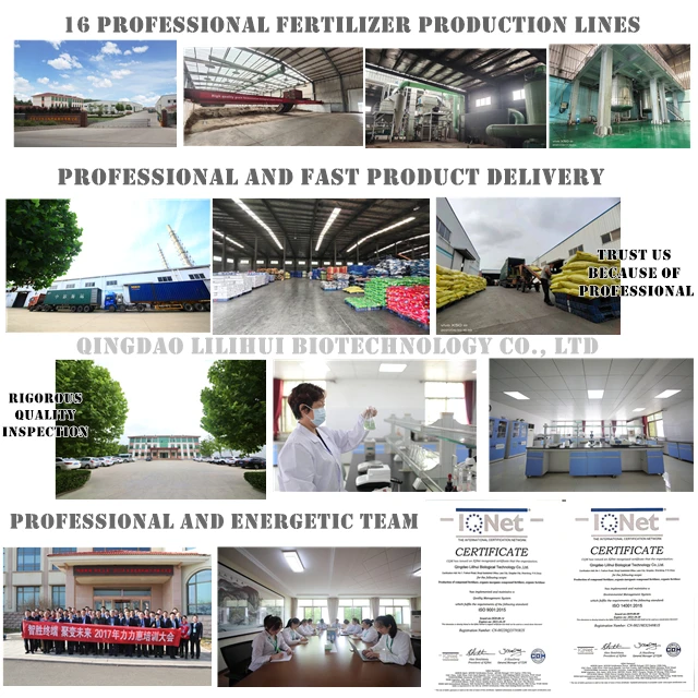 Hot sales!The high quality algae fertilizer organic fertilizer production line plant  organic  fertilizer