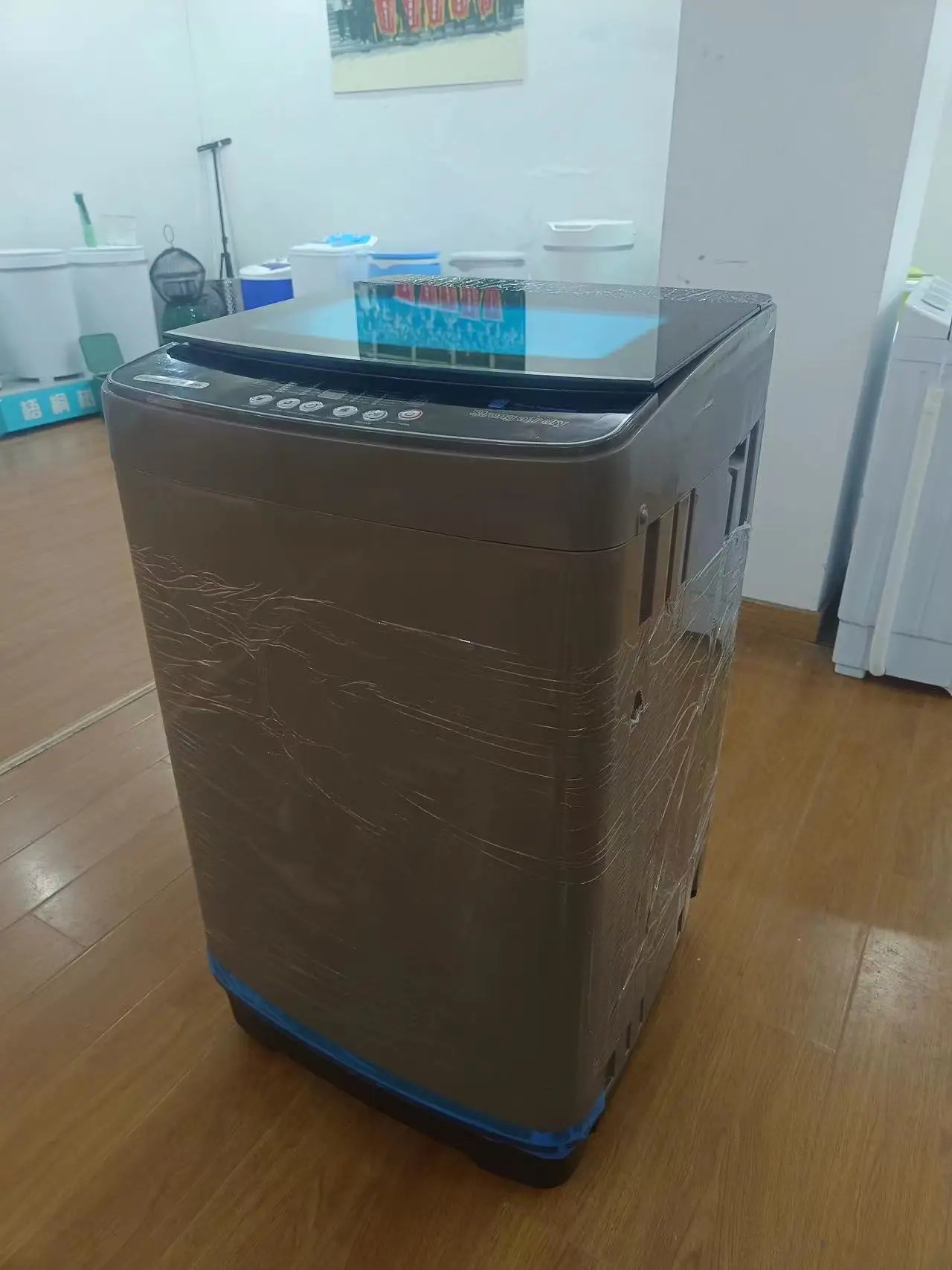 15kg automatic washing machine single tub with rotary drying or hot drying