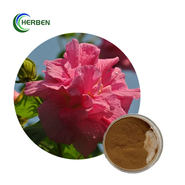 Hibiscus Mutabilis Extract.jpg