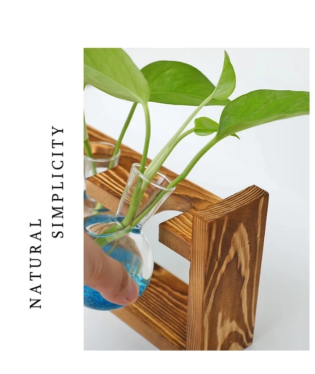 Vintage Two Bulbs Vintage Home Decor Gift Ornaments Frame Hydroponic Flower Vase Glass & Crystal Vases Living Room Table Wooden