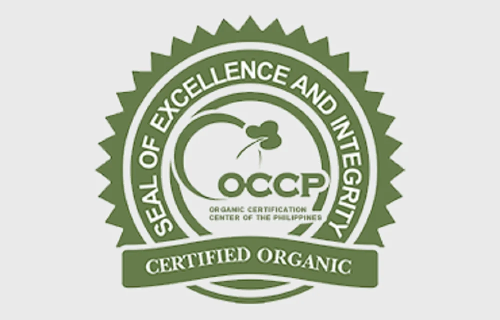 Japanese delicious popular slightly fragrant bottles glass liqueur