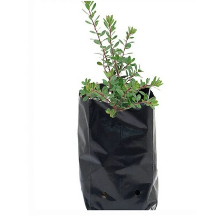 Garden UV resistant PE polyethylene plastic seedling/planting bags for plant nursery grow bags for plants