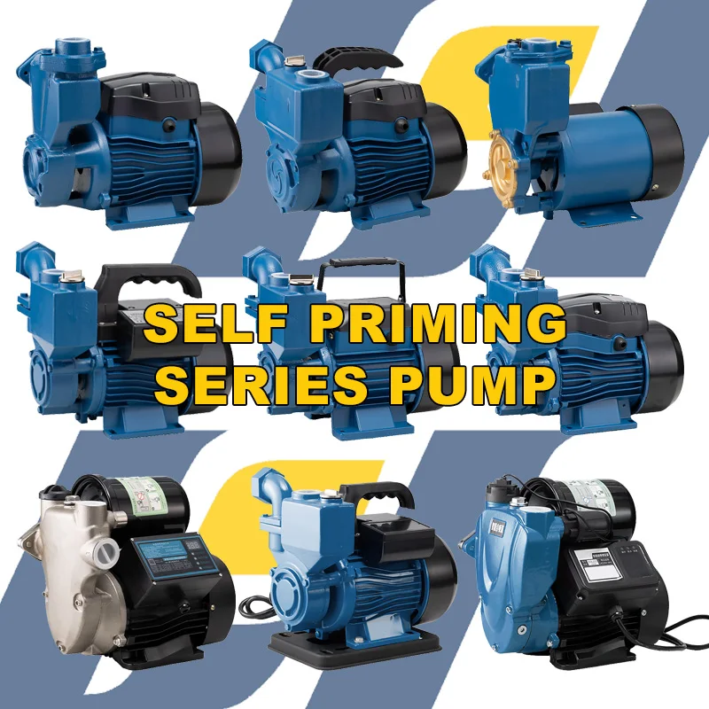 Bombas De Agua 1Hp Electric Self Priming Cleaning Water Supply Pressure Booster Pump Home for Irrigation