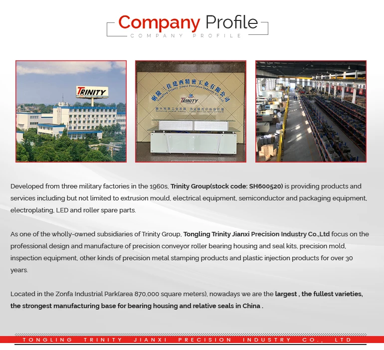 3 Company profile.jpg