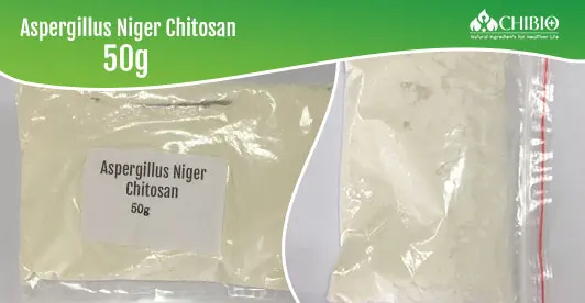 ISO Certificate Food Grade Factory supply Aspergillus niger Chitosan Powder for grape juice making