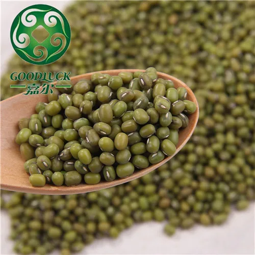 Mung Beans Bulk Green Mung Beans For Sale