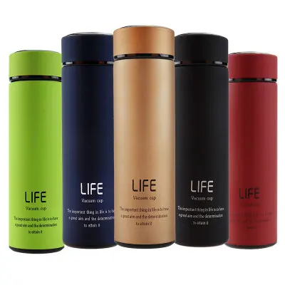 
Customized Color Printing Logo Vacuum Flask Insulated Life Stainless Steel Water Bottle with Strainers 