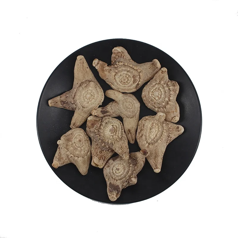 Wholesale Herbal Bai ji  Rhizoma Bletillae Dried Bletilla Striata Root