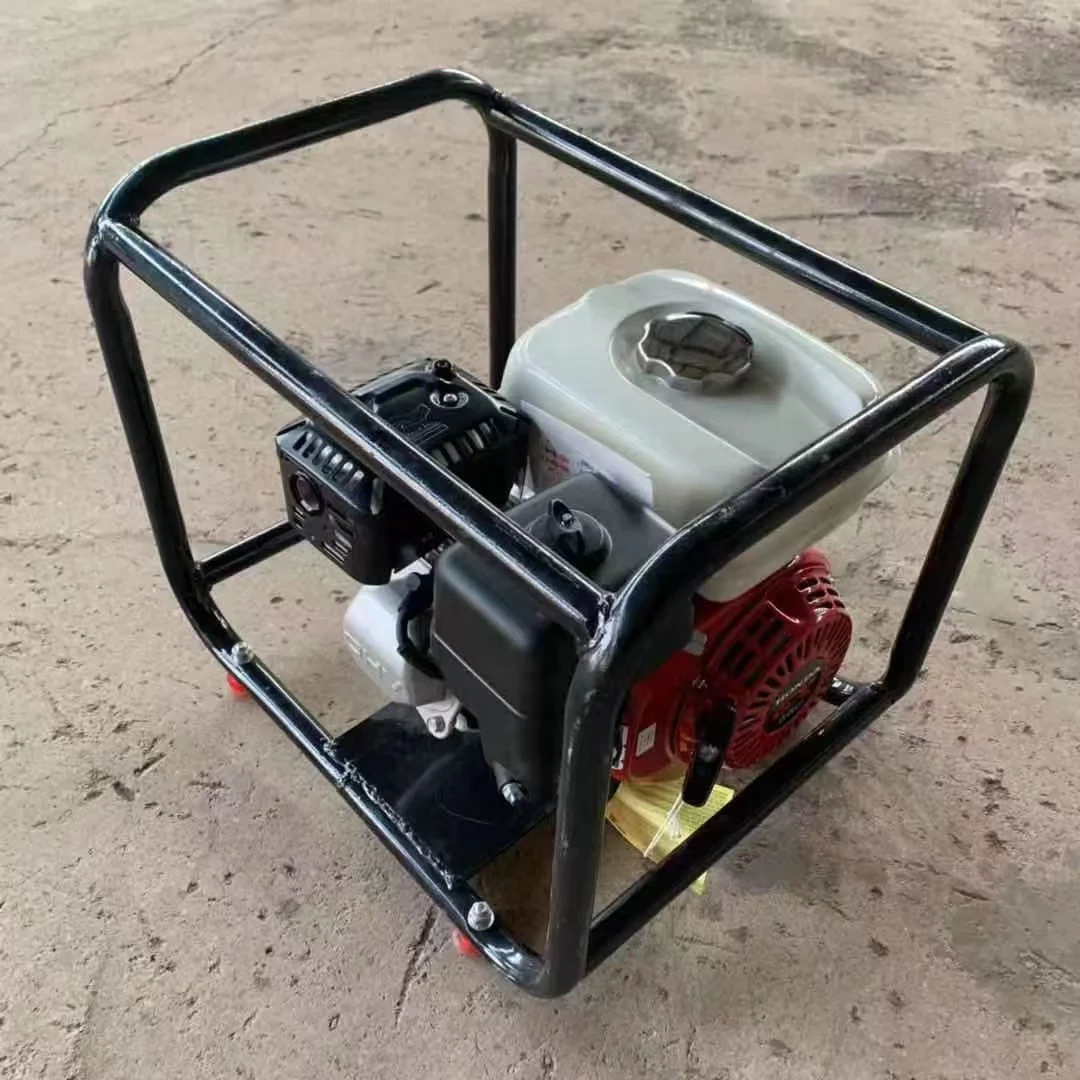 Professional Portable Concrete Vibrator with Gasoline Power 220V Internal Surface Type Engine and Motor Core Components