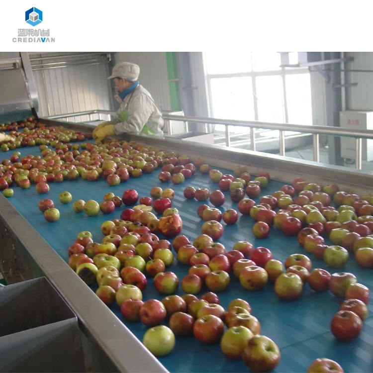 
stainless steel apple pear mango fruit vegetable washing cleaning processing machine line equipment 
