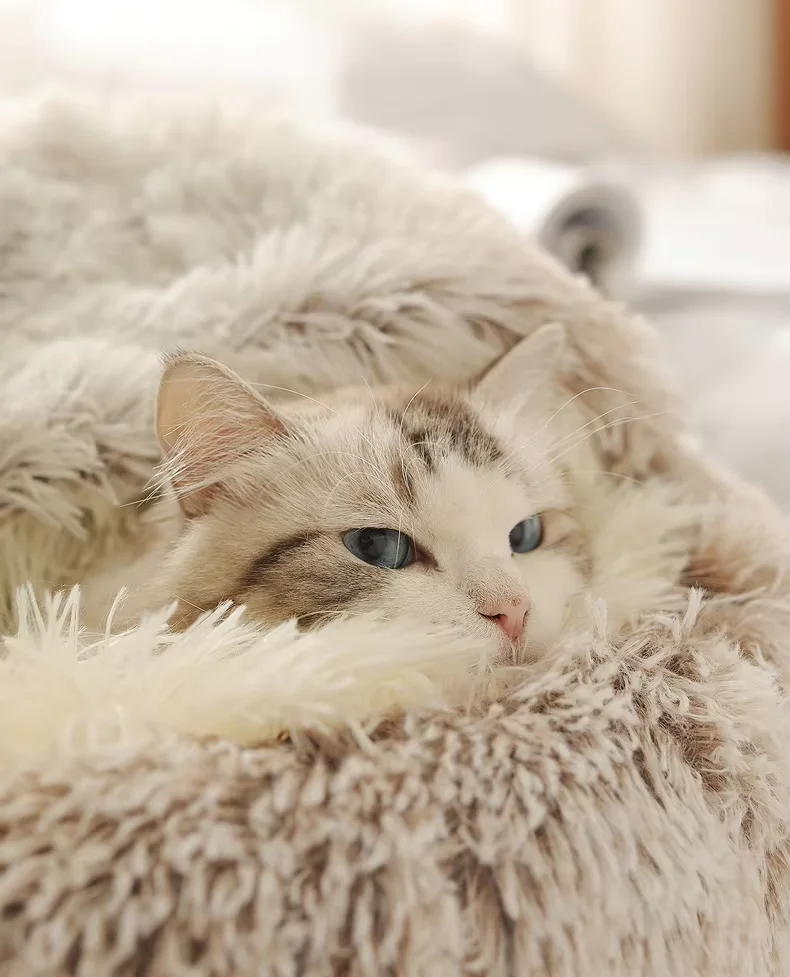 Custom Personalized Large and Small Luxury Cat Bed Winter Warm Faux Fur Cave Sofa Washable and Comfortable for Pet Dog Owners