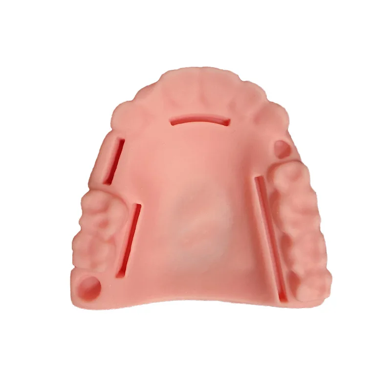Dentistry School Surgical Simulator Pad Teeth Practice Dental Suture Model Oral School University Students Carton Manikin 230