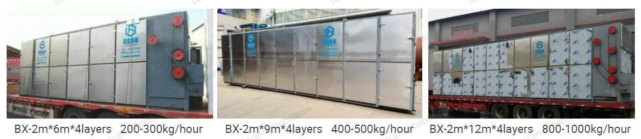Continuous dryer (4).jpg