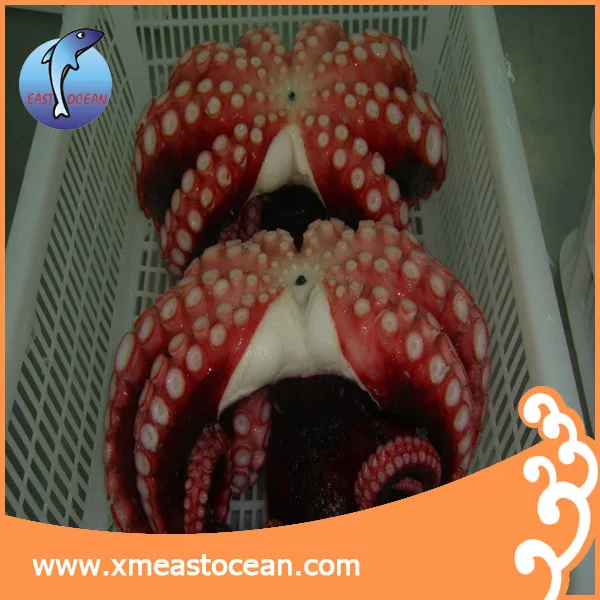 Cheap fresh delicious flower shape frozen boiled octopus for sale