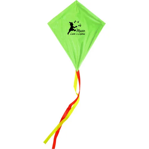 Wholesale chinese toy manufacturers custom kite branded kite custom printed kite