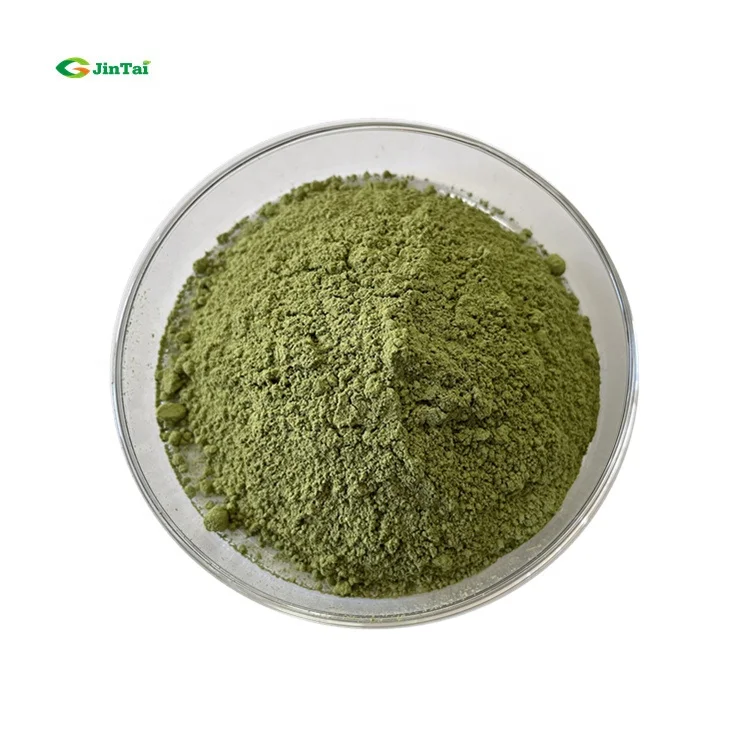 High Quality Powder Matcha wholesale with good