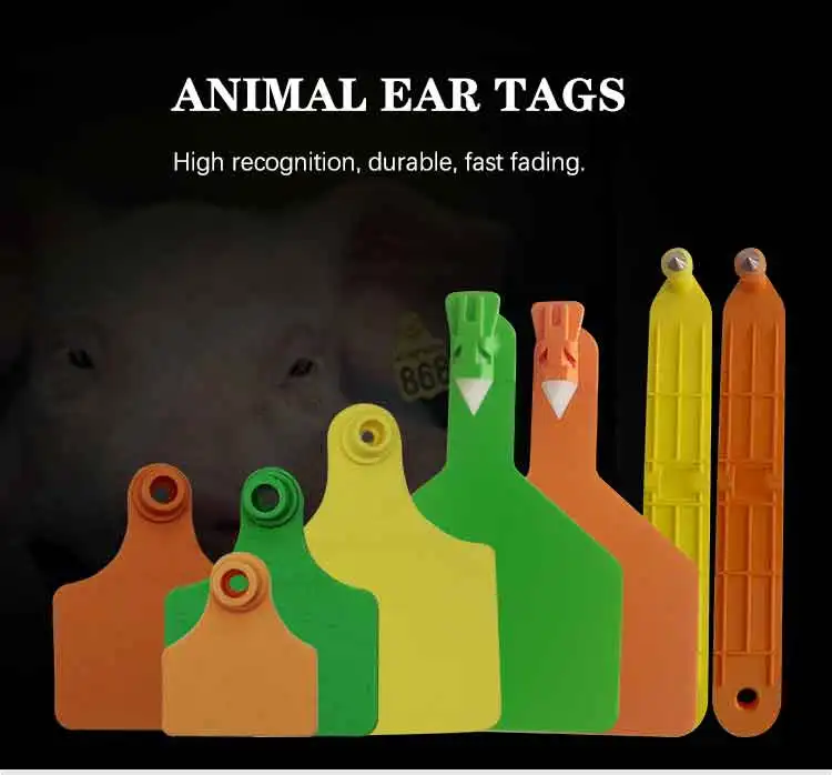 2024 HOT ear tag  TPU animal ear tag live cow cattle pig sheep ear tag marker with Applicator plier equipment