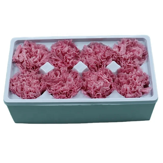 yunnan factory in bulk wholesale 4-6cm preserved carnation heads forever dried natural flower for wedding home decoration