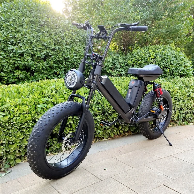 REALMAXS Hot sale 20 inch electric bicycle rear drive 1000w electric city bike electric bike cheap city electric fat bike