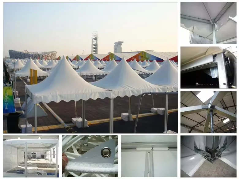 pagoda gazebo tent (2).png
