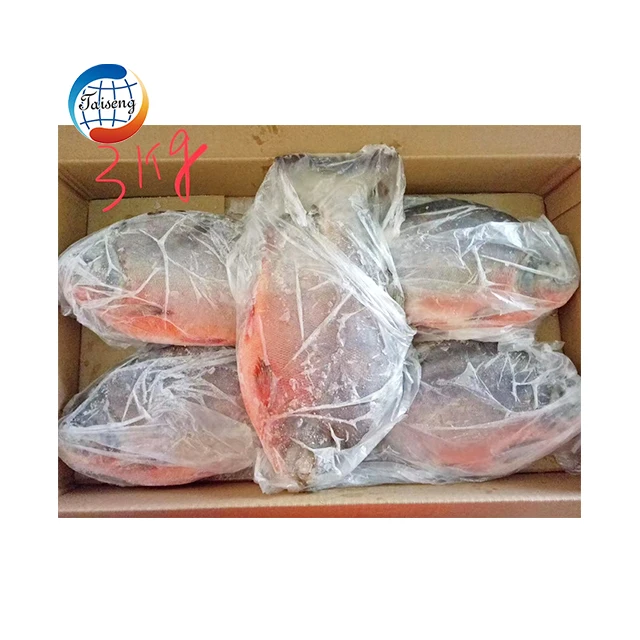 China export low price wholesale frozen red pacu fish frozen red pomfret