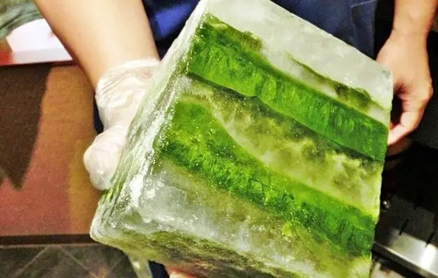 Quality special matcha flavor display mix ice cream soft made in Japan