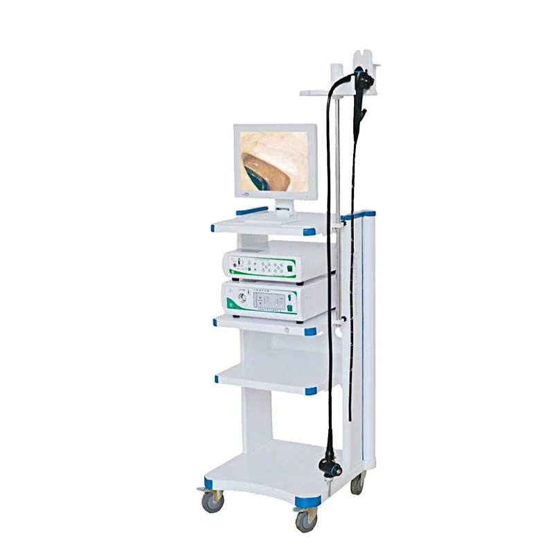 HC-R029 Medical Endoscopic System Hot Sale Veterinary Endoscope System For Gastroscope