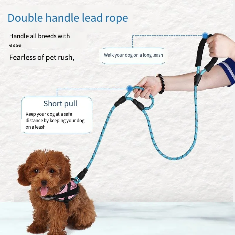 Pet Supplies 2024 new double handle leash paired with two foam hand pads Thick and firm lock head Customizable colors leash