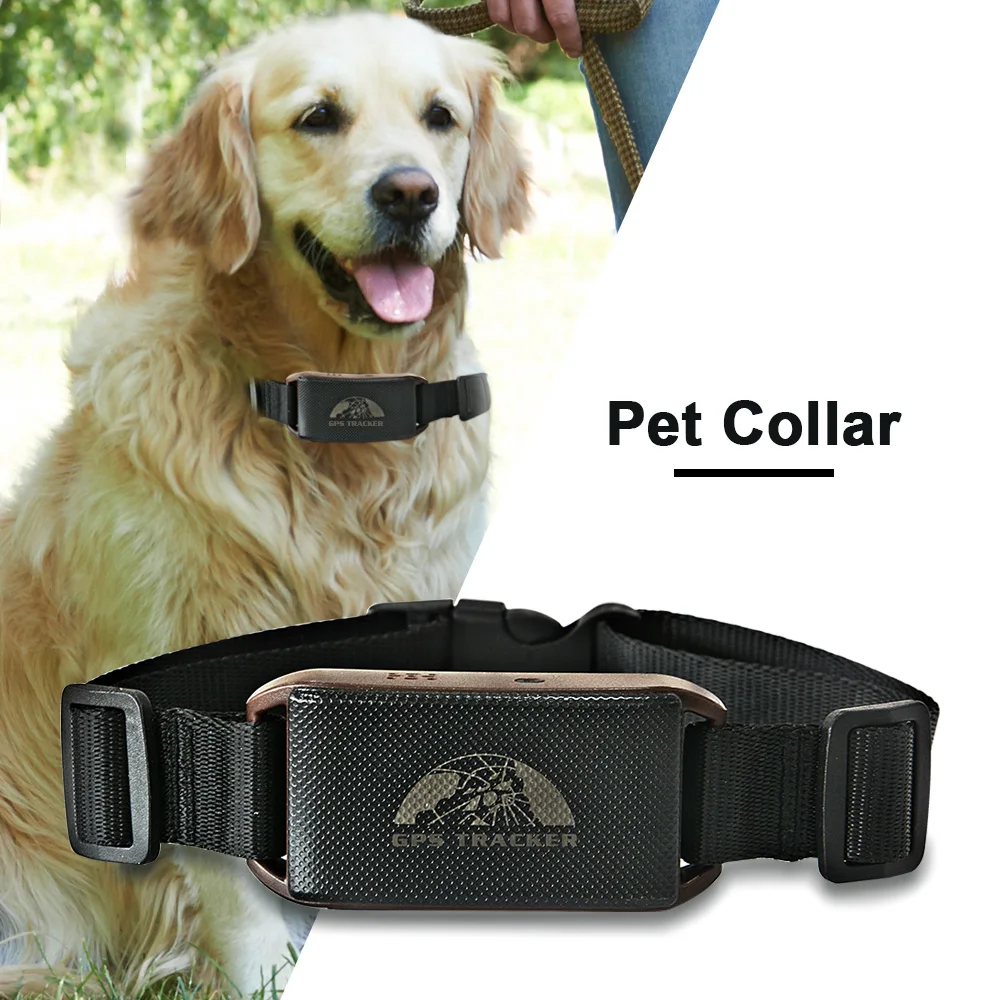 Coban Dog GPS Tracker  Factory Price Anti-Theft Locator Portable Tracking Device Cell Phone Number  Location Pet Finder